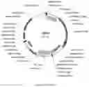Fig. 09 - Compositions and methods for driving T1 event diversity
