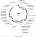 Fig. 10 - Compositions and methods for driving T1 event diversity