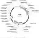 Fig. 13 - Compositions and methods for driving T1 event diversity