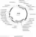 Fig. 14 - Compositions and methods for driving T1 event diversity