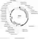 Fig. 15 - Compositions and methods for driving T1 event diversity