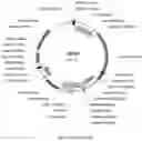 Fig. 21 - Compositions and methods for driving T1 event diversity