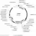 Fig. 25 - Compositions and methods for driving T1 event diversity