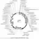 Fig. 36 - Compositions and methods for driving T1 event diversity