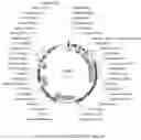 Fig. 37 - Compositions and methods for driving T1 event diversity