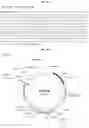 Fig. 11 - Targeting Nuclear-Encoded Recombinant Proteins to the Chloroplast in Microalgae