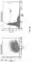 Fig. 16 - Targeting Nuclear-Encoded Recombinant Proteins to the Chloroplast in Microalgae