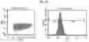 Fig. 18 - Targeting Nuclear-Encoded Recombinant Proteins to the Chloroplast in Microalgae