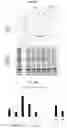 Fig. 21 - Targeting Nuclear-Encoded Recombinant Proteins to the Chloroplast in Microalgae