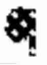 Fig. 08 - TRANSGENIC PLANTS WITH ENHANCED TRAITS