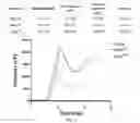 Fig. 04 - Polypeptide and nucleic acid capable of changing amylose content (ac) in plant, and use thereof