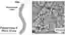 Fig. 01 - CANCER IMMUNOTHERAPY