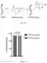 Fig. 15 - CANCER IMMUNOTHERAPY