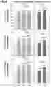 Fig. 14 - METHODS OF ENHANCING BIOMASS IN A PLANT THROUGH STIMULATION OF RUBP REGENERATION AND ELECTRON TRANSPORT