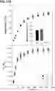 Fig. 19 - METHODS OF ENHANCING BIOMASS IN A PLANT THROUGH STIMULATION OF RUBP REGENERATION AND ELECTRON TRANSPORT