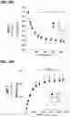 Fig. 21 - METHODS OF ENHANCING BIOMASS IN A PLANT THROUGH STIMULATION OF RUBP REGENERATION AND ELECTRON TRANSPORT