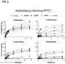 Fig. 12 - Engineered phosphoenolpyruvate carboxylase enzymes