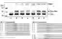 Fig. 01 - IMPROVED TRANSPOSON INSERTION SITES AND USES THEREOF