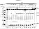 Fig. 05 - IMPROVED TRANSPOSON INSERTION SITES AND USES THEREOF