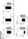 Fig. 10 - Optimized lentiviral transfer vectors and uses thereof