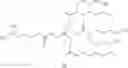Fig. 18 - METHOD FOR TRANSFECTION INTO CARDIOMYOCYTES USING CATIONIC LIPID