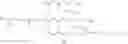 Fig. 35 - METHOD FOR TRANSFECTION INTO CARDIOMYOCYTES USING CATIONIC LIPID