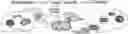 Fig. 01 - MODIFIED MITOCHONDRION AND METHODS OF USE THEREOF
