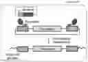 Fig. 01 - CELL PENETRATING TRANSPOSASE