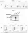 Fig. 06 - CELL PENETRATING TRANSPOSASE