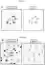 Fig. 10 - CELL PENETRATING TRANSPOSASE