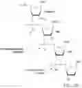 Fig. 04 - IMPROVED PROCESS FOR INTEGRATION OF DNA CONSTRUCTS USING RNA-GUIDED ENDONUCLEASES