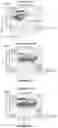 Fig. 15 - IMPROVED PROCESS FOR INTEGRATION OF DNA CONSTRUCTS USING RNA-GUIDED ENDONUCLEASES