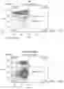 Fig. 18 - IMPROVED PROCESS FOR INTEGRATION OF DNA CONSTRUCTS USING RNA-GUIDED ENDONUCLEASES