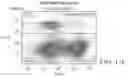 Fig. 19 - IMPROVED PROCESS FOR INTEGRATION OF DNA CONSTRUCTS USING RNA-GUIDED ENDONUCLEASES
