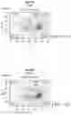 Fig. 26 - IMPROVED PROCESS FOR INTEGRATION OF DNA CONSTRUCTS USING RNA-GUIDED ENDONUCLEASES