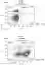 Fig. 31 - IMPROVED PROCESS FOR INTEGRATION OF DNA CONSTRUCTS USING RNA-GUIDED ENDONUCLEASES
