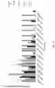 Fig. 14 - COMPOSITIONS AND METHODS FOR RNA-ENCODED DNA-REPLACEMENT OF ALLELES