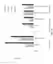 Fig. 15 - COMPOSITIONS AND METHODS FOR RNA-ENCODED DNA-REPLACEMENT OF ALLELES