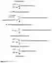 Fig. 05 - MEANS AND METHODS FOR PRODUCING ISOBUTENE FROM ACETYL-COA