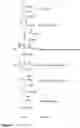 Fig. 07 - MEANS AND METHODS FOR PRODUCING ISOBUTENE FROM ACETYL-COA
