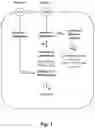 Fig. 02 - FERMENTATIVE PRODUCTION OF CARBOHYDRATES BY MICROBIAL CELLS UTILIZING A MIXED FEEDSTOCK