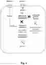 Fig. 05 - FERMENTATIVE PRODUCTION OF CARBOHYDRATES BY MICROBIAL CELLS UTILIZING A MIXED FEEDSTOCK
