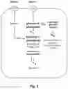 Fig. 06 - FERMENTATIVE PRODUCTION OF CARBOHYDRATES BY MICROBIAL CELLS UTILIZING A MIXED FEEDSTOCK