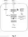 Fig. 07 - FERMENTATIVE PRODUCTION OF CARBOHYDRATES BY MICROBIAL CELLS UTILIZING A MIXED FEEDSTOCK