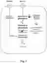Fig. 08 - FERMENTATIVE PRODUCTION OF CARBOHYDRATES BY MICROBIAL CELLS UTILIZING A MIXED FEEDSTOCK