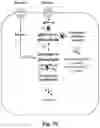 Fig. 11 - FERMENTATIVE PRODUCTION OF CARBOHYDRATES BY MICROBIAL CELLS UTILIZING A MIXED FEEDSTOCK