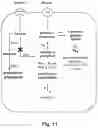 Fig. 12 - FERMENTATIVE PRODUCTION OF CARBOHYDRATES BY MICROBIAL CELLS UTILIZING A MIXED FEEDSTOCK