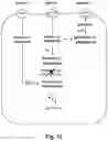 Fig. 13 - FERMENTATIVE PRODUCTION OF CARBOHYDRATES BY MICROBIAL CELLS UTILIZING A MIXED FEEDSTOCK