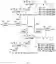 Fig. 04 - MATERIALS AND METHODS FOR THE PREPARATION OF BACTERIAL CAPSULAR POLYSACCHARIDES