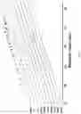 Fig. 10 - MATERIALS AND METHODS FOR THE PREPARATION OF BACTERIAL CAPSULAR POLYSACCHARIDES
